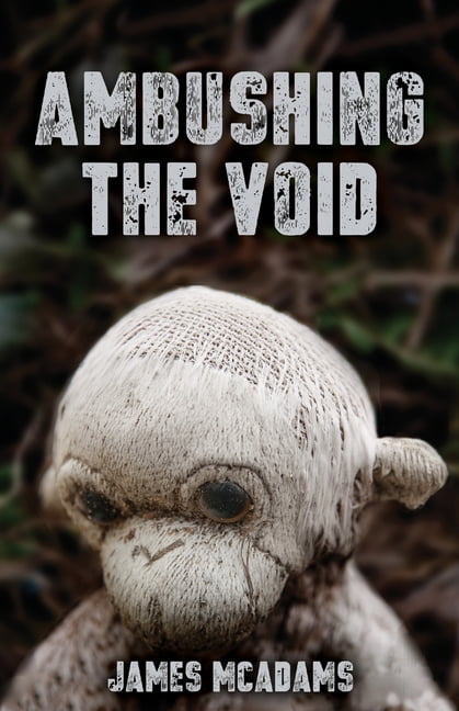 Ambushing the Void, (Paperback)