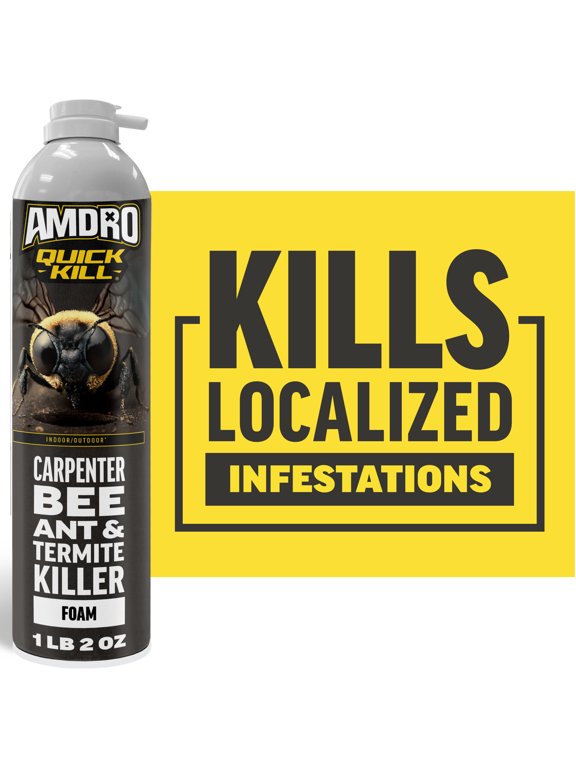 Quick Kill Carpenter Bee, Carpenter Ant & Termite Killer Foam, 18 oz.