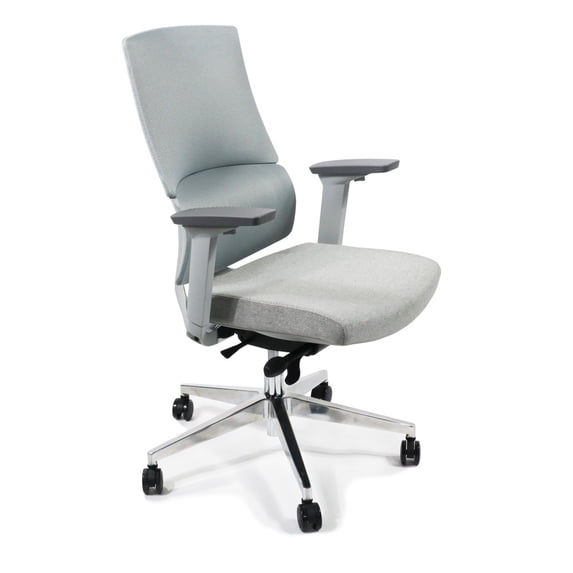Ame Ergonomic High Back Adjustable Office Chair With Lumbar Support