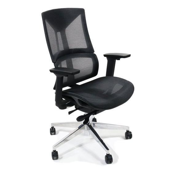 Ame Ergonomic High Back Adjustable Office Chair With Lumbar Support