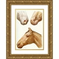 thumbnail image 1 of Amedeo John Engel Terzi 14x18 Gold Ornate Wood Frame and Double Matted Museum Art Print Titled - Stomatitis Eruptions, 1 of 4