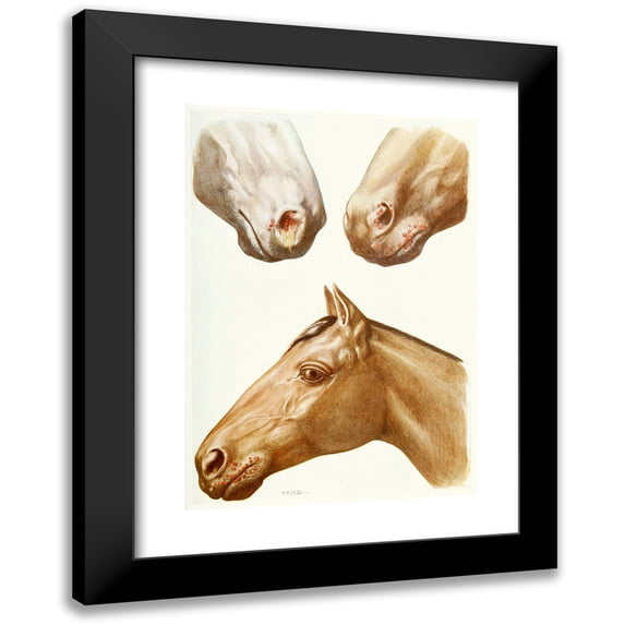 Amedeo John Engel Terzi 18x24 Black Modern Framed Museum Art Print Titled - Stomatitis Eruptions