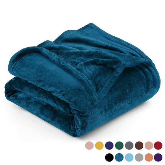 Ameha Microplush Fleece Bed Blanket 310 GSM Microfiber Lightweight Warm Fluffy & Soft Teal Full/Queen
