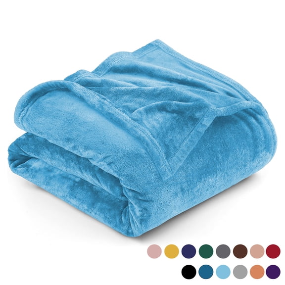 Ameha Microplush Fleece Blanket Solid for Couch & Travel 310 GSM Ultra Soft Breathable Microfiber Lightweight Warm Fluffy & Soft Light Blue Throw