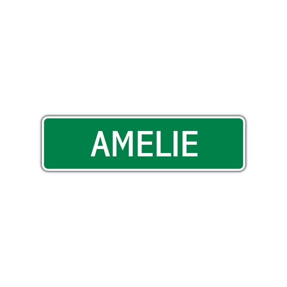 Ameli Girls Children Name Letter Printed Plaque Decoration Label Indoor Outdoor Unique Wall Novelty Aluminum Metal Sign 4"x13.5"
