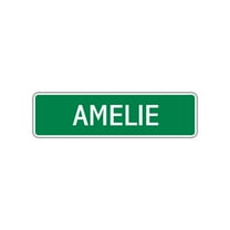 Ameli Girls Children Name Letter Printed Plaque Decoration Label Indoor Outdoor Unique Wall Novelty Aluminum Metal Sign 4"x13.5"