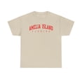 thumbnail image 1 of Amelia Island Florida Shirt Gifts Tshirt Tee Crew Neck, 1 of 2