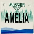 thumbnail image 1 of Amelia Mini Bike Plate Add On Accessory, 1 of 1
