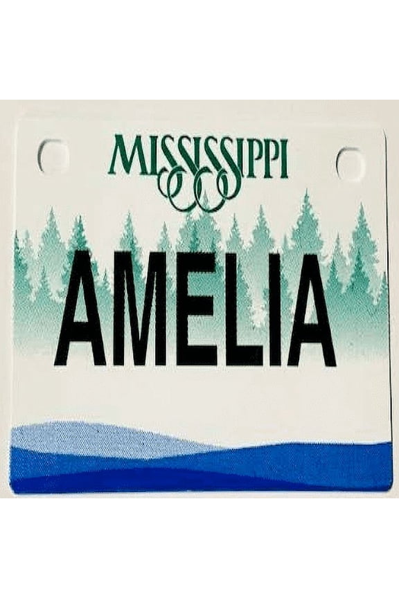 Mini Bike Plate Add On Accessory