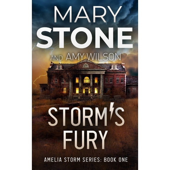 Amelia Storm FBI Mystery Storm's Fury, Book 1, (Paperback)