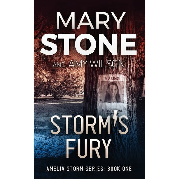 Amelia Storm Storm's Fury, Book 1, (Paperback)