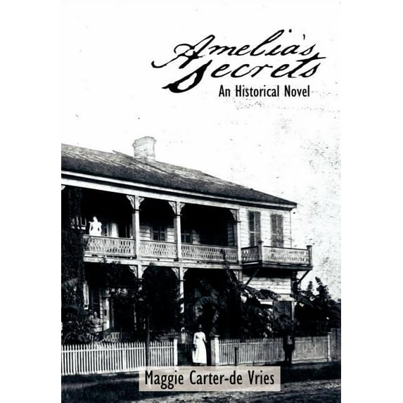 Amelia's Secrets: An Historical Novel, (Hardcover)