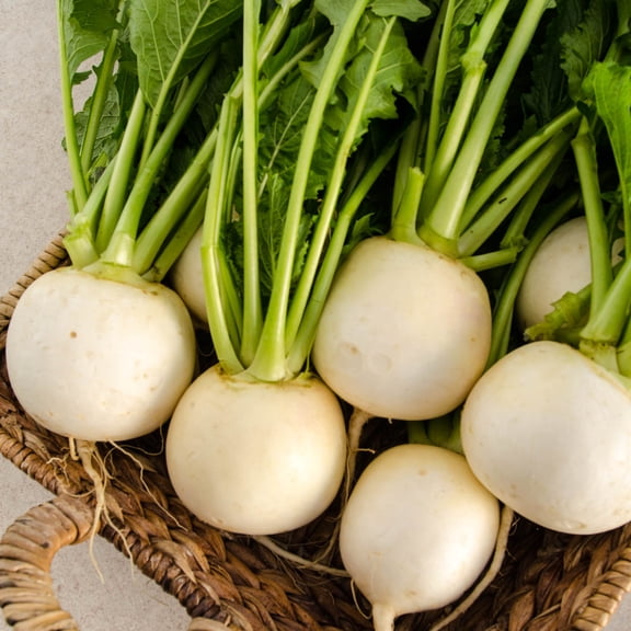 Amelie Hybrid Turnip Seed Tapes, 2 tapes measuring 7.50 feet long each