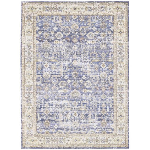 Amer Rugs Century Medallion Transitional Area Rug, 9' x 13'