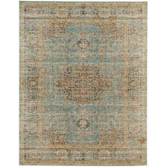 Amer Rugs Eternal Medallion Vintage Seafoam Green Area Rug, Runner, or Round