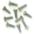 thumbnail image 1 of AmerTac 101617 0.75 in. Chrome Plated Wall Plate Screw, Pack of 10, 1 of 1