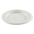 thumbnail image 1 of Amercareroyal Bagasse PFAS-Free Container, 6x9x3.03, Wht, 250/CT (RPPHL96NPFA), 1 of 4