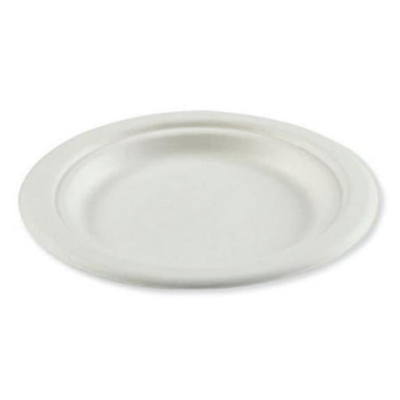 Amercareroyal Bagasse PFAS-Free Container, 6x9x3.03, Wht, 250/CT (RPPHL96NPFA)