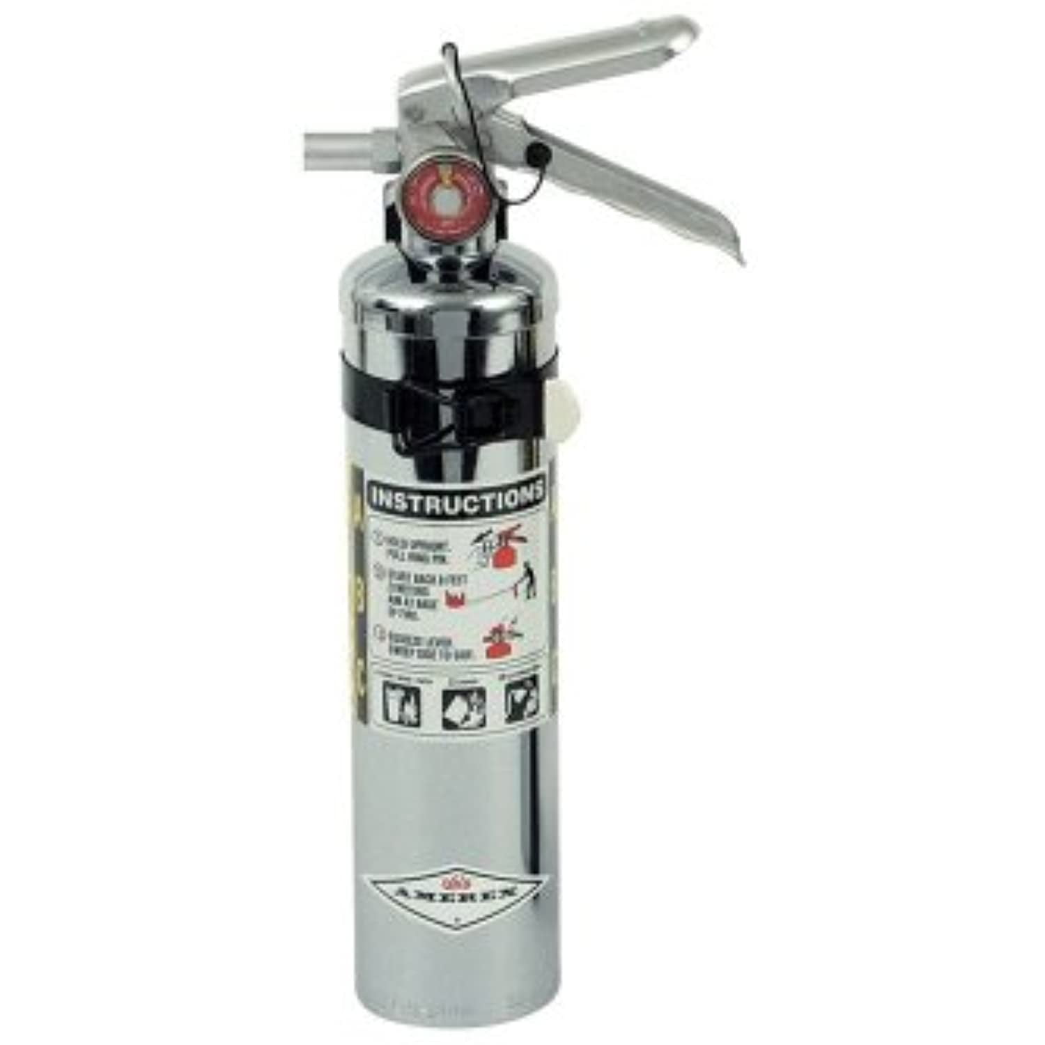 Amerex Fire Extinguisher, Dry Chemical, 2.5 lb. Capacity, B417TC
