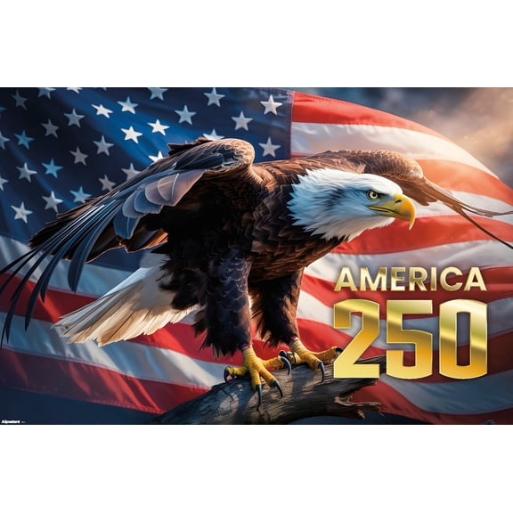 America 250 - Eagle & Flag Wall Poster, 14.725" x 22.375"
