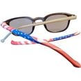 thumbnail image 1 of America! America! Eyewear Sleeves, 1 of 4