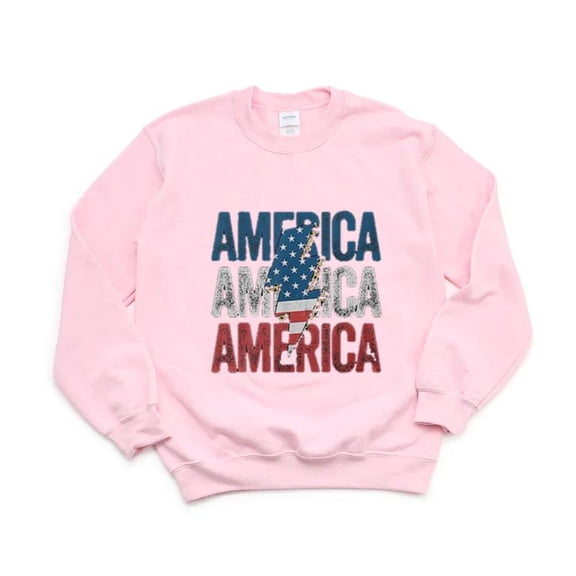 America Cheetah Lightning Bolt 4th July Patriotic USA Wildlife Graphic SweatShirt Unisex, up to 5XL