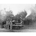 thumbnail image 1 of America: Farming, C1910. /Nfarmers In The American Northeast Using A Horse, 1 of 1