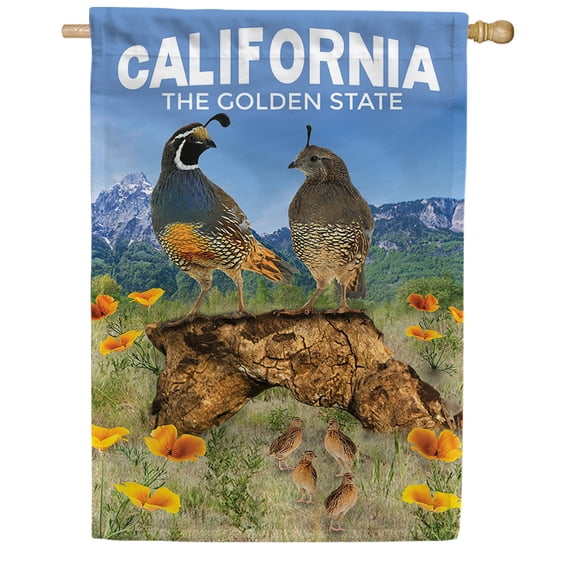 America Forever California State House Flag- 28 x 40 inches - California Quail Family USA Regional Yard Outdoor Decorative Double Sided Flag