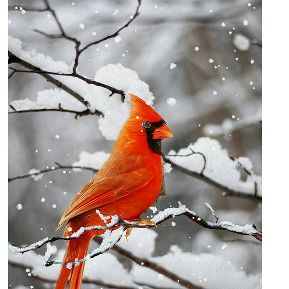 America Forever Cardinal On Snowy Branch Garden Flag - Winter Welcome Snow Birds Red Cardinal Snowy Day Flag - Seasonal Yard Outdoor Decorative Double Sided Flag - 12.5 x 18 Inches