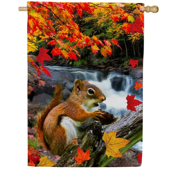 America Forever Fall Squirrel House Flag, 28 x 40 inch Double Sided, Autumn Waterfall Scene, Wildlife Forest Animal, Fall Leaves Outdoor Decor, Nature Yard Flag, Seasonal Decoration