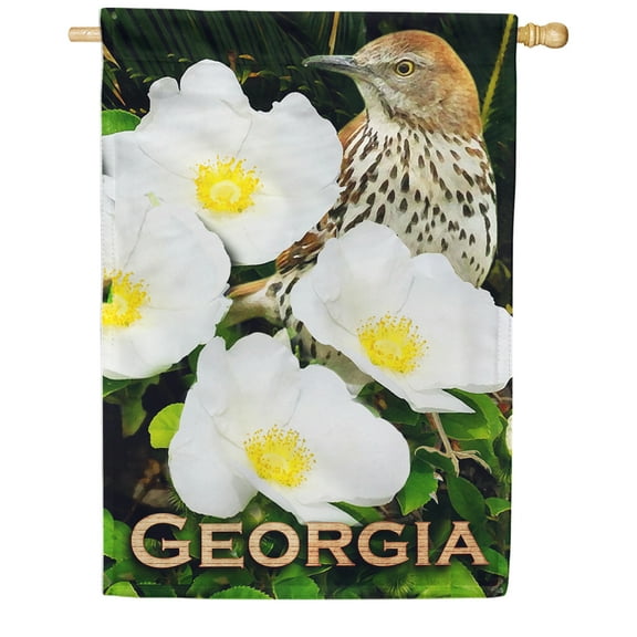 America Forever Georgia State House Flag- 28 x 40 inches - Georgia Cherokee Rose USA Regional Yard Outdoor Decorative Double Sided Flag
