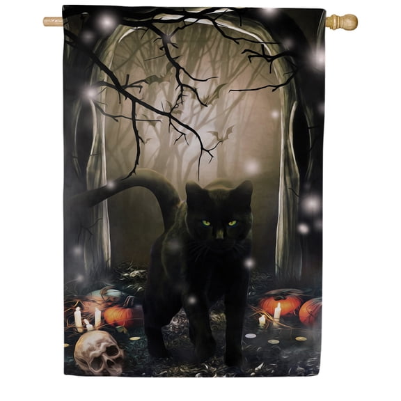 America Forever Halloween Black Cat House Flag Double Sided 28 x 40 inches Holiday Yard Outdoor Decorative Double Sided Spooky Haunted House House Flag