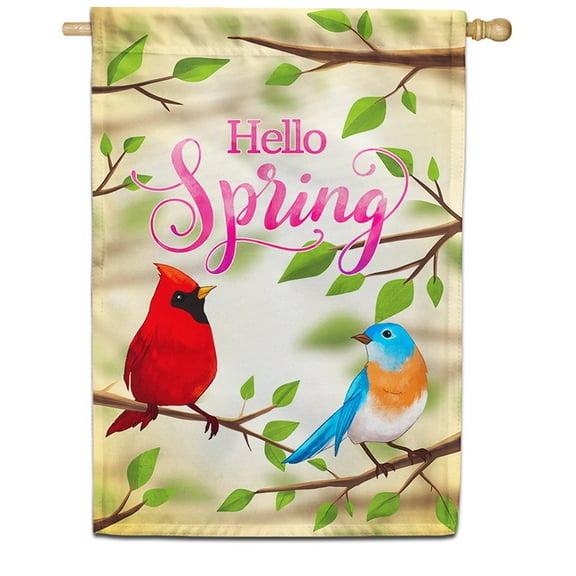 America Forever Hello Spring House Flag 28 x 40 inches Double Sided Colorful, Summer Birds, Cardinal - Seasonal Yard Lawn Outdoor Decorative Spring Bluebird House Flag