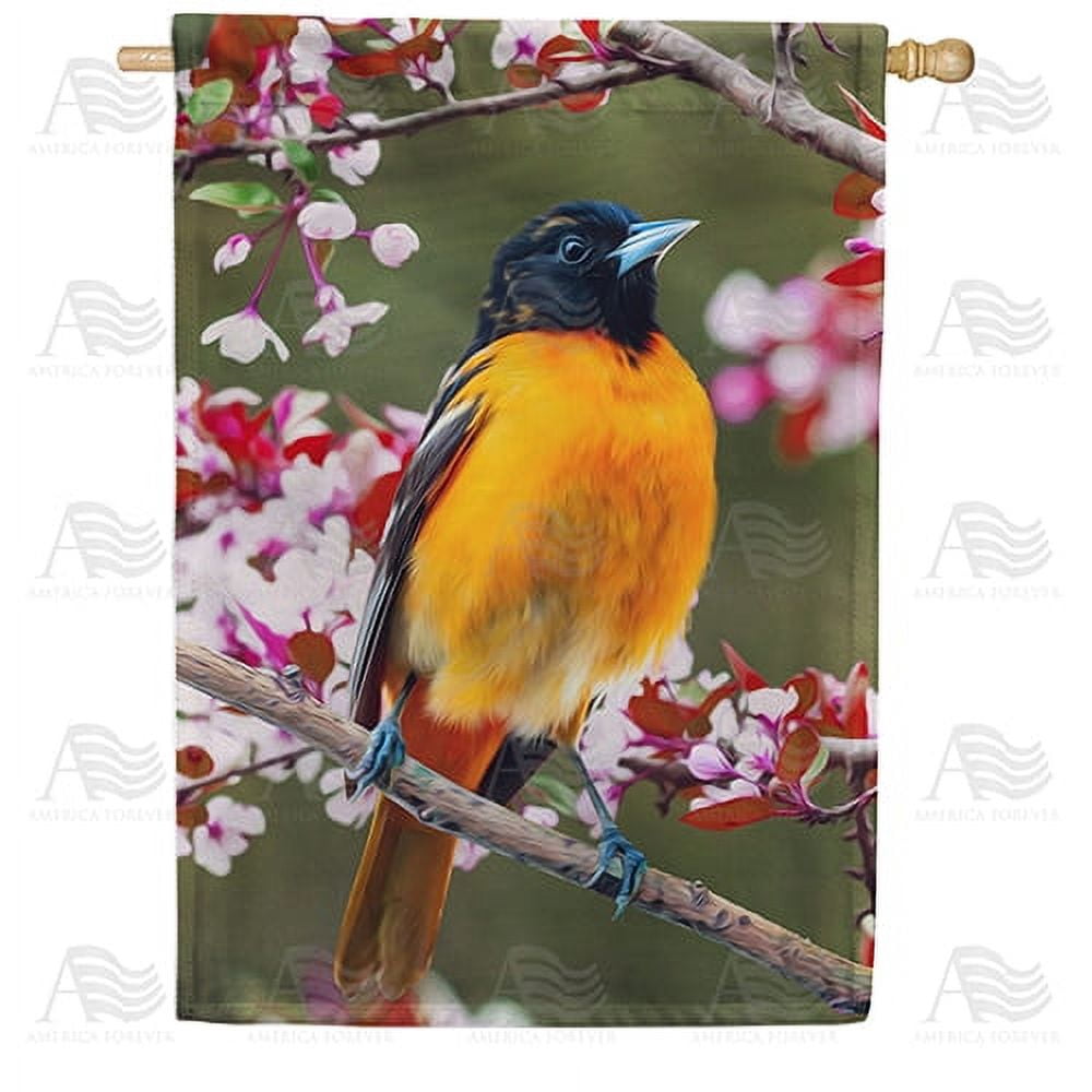 America Forever Spring Bird House Flag 28 x 40 inches Double Sided Summer Baltimore, Oriole, Flowers - Seasonal Yard Lawn Outdoor Decorative Spring Floral House Flag