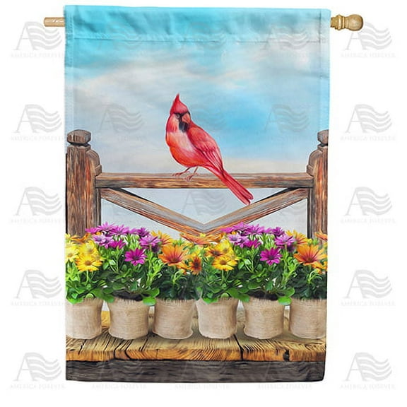 America Forever Spring Cardinal House Flag 28 x 40 inches Double Sided Hello Summer, Sky, Colorful - Seasonal Yard Lawn Outdoor Decorative Sunflower Blue Sky House Flag