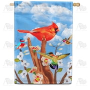America Forever Spring Cardinal House Flag 28 x 40 inches Double Sided Hummingbird, Flowers, Bluebird, Happy Summer - Seasonal Yard Lawn Outdoor Decorative Spring Floral House Flag