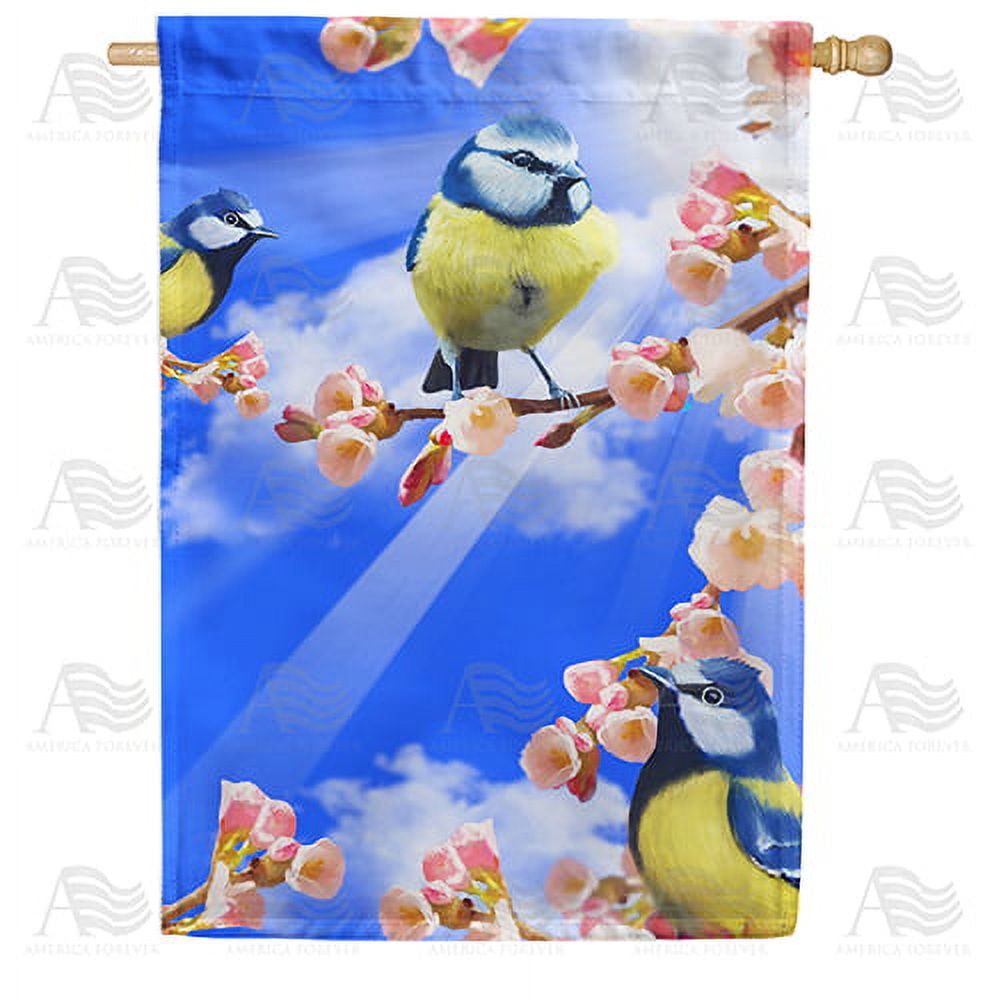America Forever Spring House Flag Hello Sunshine 28 x 40 inches Double Sided Flower, Bloom, Bluebird, Summer Birds - Seasonal Yard Lawn Outdoor Decorative Bluebird House Flag