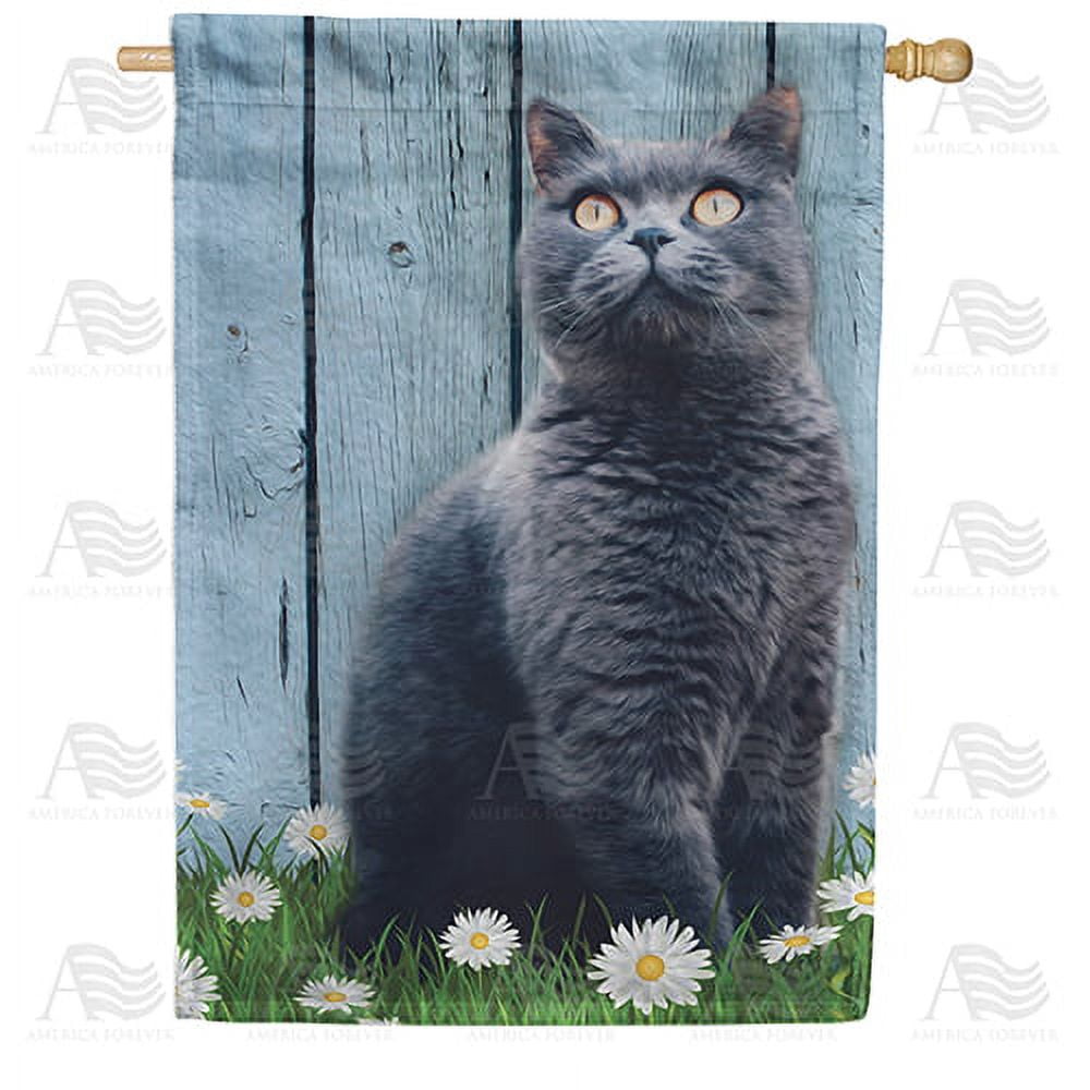 America Forever Spring Kitty House Flag 28 x 40 inches Double Sided Cute Animal, Summer Flowers, Daisy - Seasonal Yard Lawn Outdoor Decorative Grey Cat House Flag
