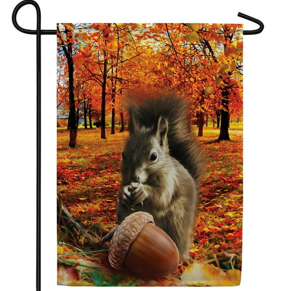 America Forever Squirrel with Acorn Garden Flag, 12.5 x 18 inches Double Sided, Autumn Squirrel Garden Flag, Fall Wildlife Flags, Fall Outdoor Seasonal Flags Decorative for Yard, Lawn, Garden Decor