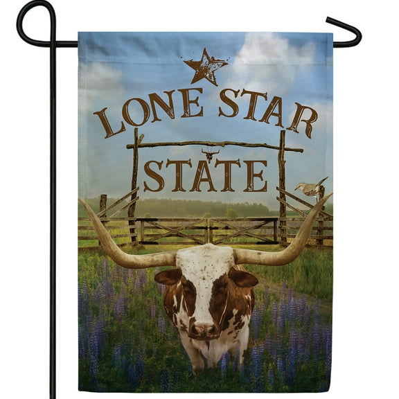 America Forever Texas State Garden Flag- 12.5 x 18 inches- Texas Longhorn in Blue Bonnets USA Regional Yard Outdoor Decorative Double Sided Flag