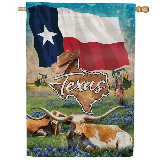 America Forever Texas Lone Star State Double Sided House Flag, 28 x 40 inch, Longhorns Bluebonnets Cowboys Oil, Regional Pride Outdoor Decorations Banner