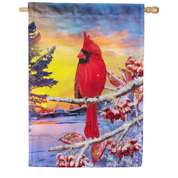 America Forever Winter Cardinal House Flag Double Sided Vertical Decorative 28 x 40 inches for Outdoor, Yard, Porch Welcome Winter Happy Holidays Snowflake Good Morning Sunshine House Flag