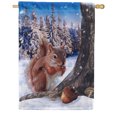 thumbnail image 1 of America Forever Winter Fall Squirrel House Flag Double Sided Vertical 28 x 40 inches for Outdoor, Yard, Porch Happy Holidays Welcome Winter Squirrel and Nuts Decorations, 1 of 5