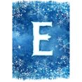 thumbnail image 1 of America Forever Winter Monogram Letter E Garden Flag Vertical Double Sided 12.5 x 18 inches Snowy Winter Holiday Seasonal Flags for Outdoor, Yard, Porch Decoration, Blue Background, Snowflake Flag, 1 of 6
