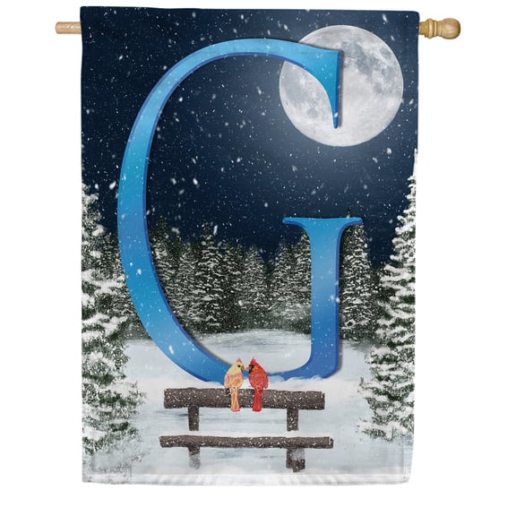 America Forever Winter Monogram Letter G Cardinals House Flag Vertical Double Sided 28 x 40 inches Winter Night Happy Holiday Seasonal Flags for Outdoor, Yard Porch Decoration, Winter Forest Flag