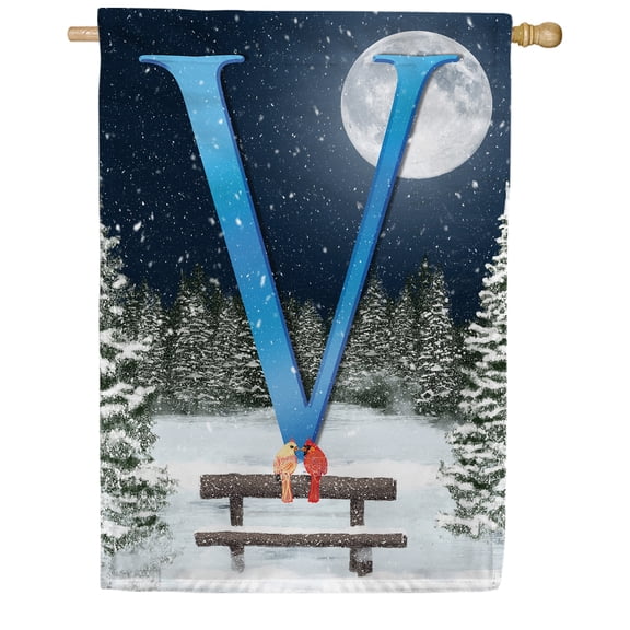 America Forever Winter Monogram Letter V Cardinals House Flag Vertical Double Sided 28 x 40 inches Winter Night Happy Holiday Seasonal Flags for Outdoor, Yard Porch Decoration, Winter Forest Flag