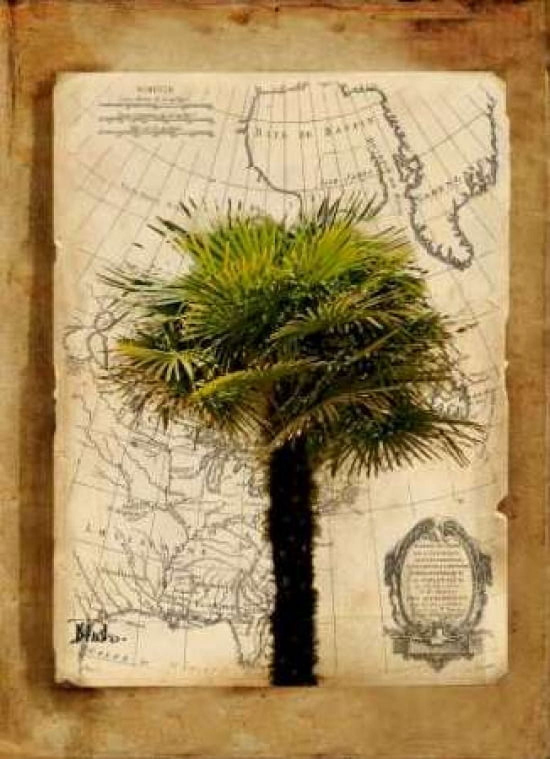 America I Canvas Art - Patricia Pinto (20 x 28)