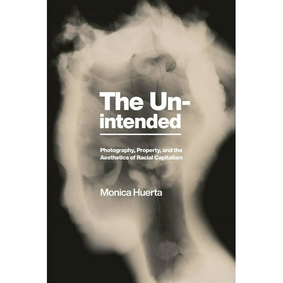 America and the Long 19th Century The Unintended: Photography, Property, and the Aesthetics of Racial Capitalism, Book 26, (Paperback)