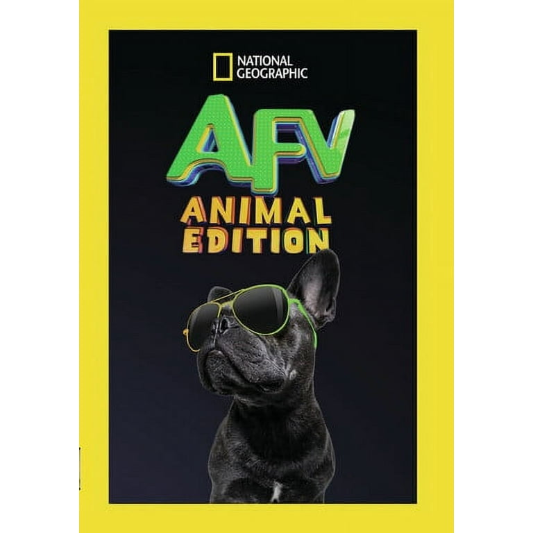 America s Funniest Home Videos Animal Edition DVD National Geographic Drama