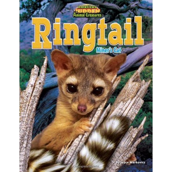 Pre-Owned Ringtail: Miner's Cat (Library Binding) 1617725803 9781617725807